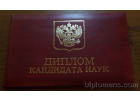 Диплом Диплом доктора наук, кандидата наук Диплом Диплом доктора наук, кандидата наук